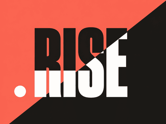Brand board sample for a bold visual mood — high-contrast black-on-saturated, oversized type, geometric blocks